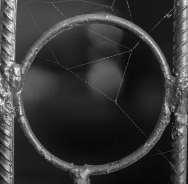 Spider web with dew drops Stock Photos