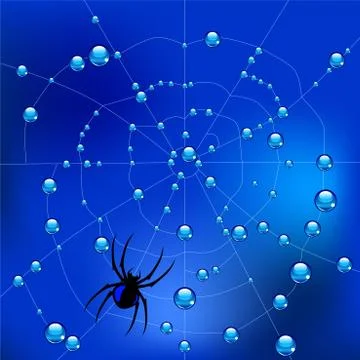 Spider on the web in dew drops. Vector Illustration Stock Illustration