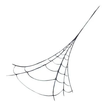 Spider web diagonally from corner to corner. Natural cobweb Hand painted in Stock Illustration