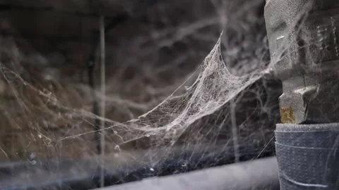 Spider web in dirty industrial premises close up Stock Footage 240845952