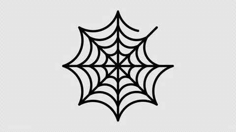 Spider web drawing animation element by element Stock Footage 345401576