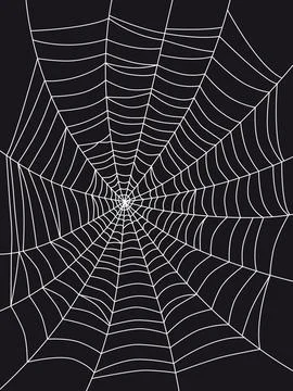 Spider web drawing on a black background Stock Illustration