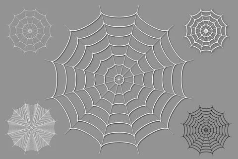 Spider Web Elements Set Intricate Web Vector Decorations Ilustração Stock