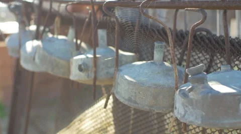 Spider web Stock Footage 62451118