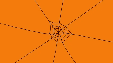 Spider Web Stock Footage 220044626