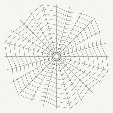 Spider web geometric pattern intricate symmetrical lines Stock Illustration