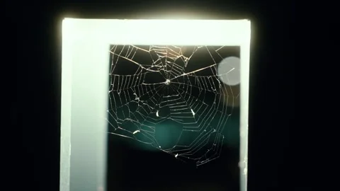 Spider web glowing in illuminated frame against dark background Stock Footage 312208619