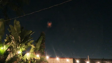 Spider web goes in and out of focus Stock Footage 95161254