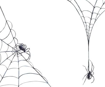 Spider web halloween background with copy space hand drawn watercolor frame イラスト素材