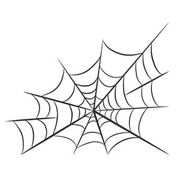 Spider web for halloween design greeting card on white, stock vector illustra Stock-Illustration