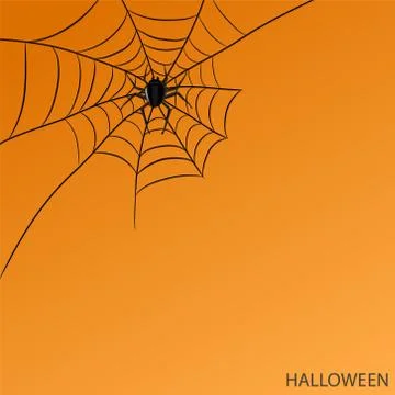 Spider on web on halloween orange background for your design, stock vector il Stock Illustration