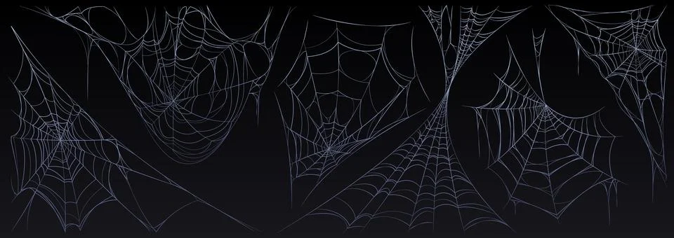 Spider web Halloween set, cobweb spooky insect net Stock-Illustration