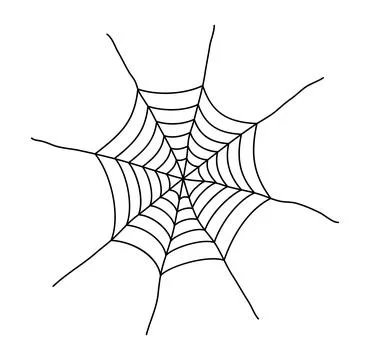 Spider web hand drawn Halloween illustration Stock Illustration