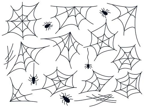 Spider web hand drawn set Illustrazione stock