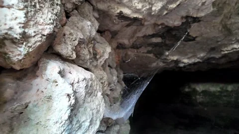 Spider web hangs from cave rocks Stock Footage 342359759