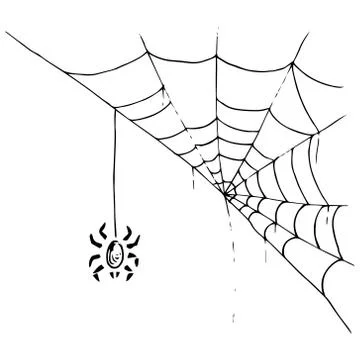 Spider on  web icon. Vector illustration spider web with a spider. Net, web,  Stock Illustration