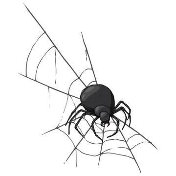 Spider on  web icon. Vector illustration spider web with a spider. Hand drawn Stock Illustration