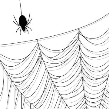 Spider web Stock Illustration