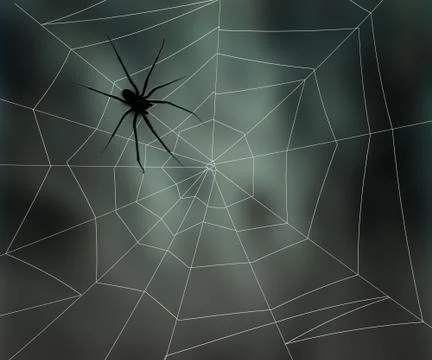 Spider web Illustrazione stock