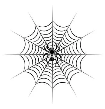 Spider on web 스톡 일러스트
