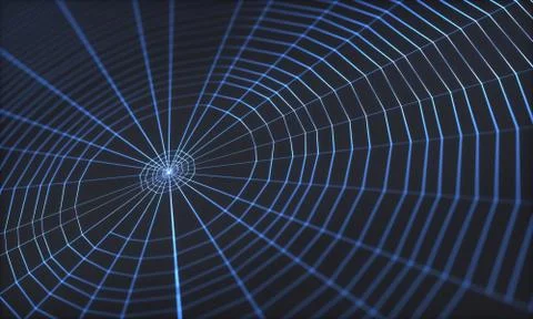 Spider Web Illustrazione stock