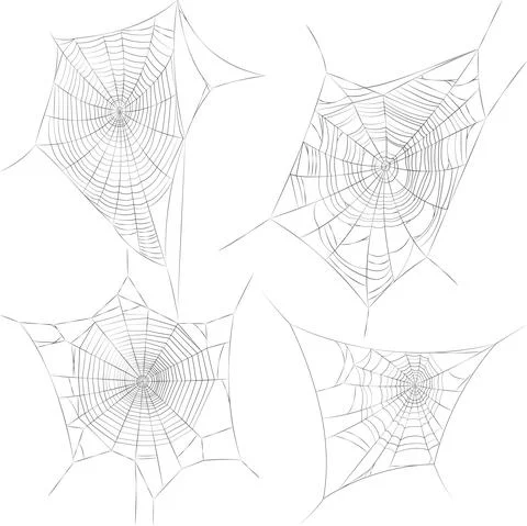 Spider web Stock Illustration