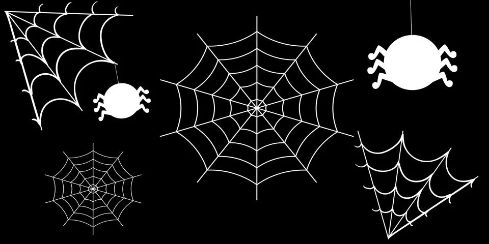 Spider web Ilustración de archivo
