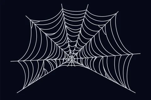 Spider web illustration. Cobweb isolated on dark background. Vector illustration Stock Illustration