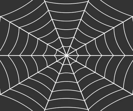 Spider web illustration Stock Illustration