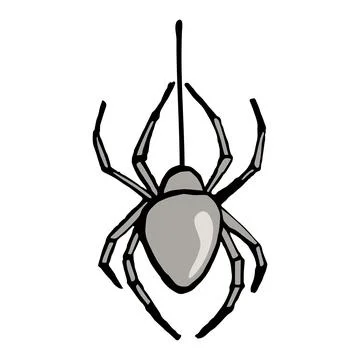 Spider on web illustration. Isolated on white background. Stock Illustration