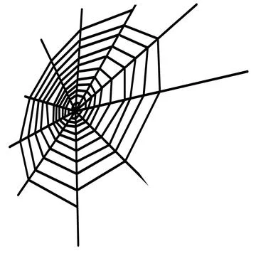 Spider web Insect cobweb spiderweb Halloween Stock Illustration