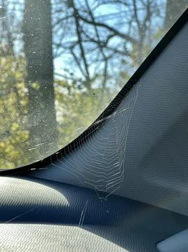 Spider Web Inside A Car Stock Photos
