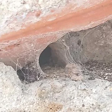 Spider Web Inside Small Hole in Old Wall Fotos de archivo