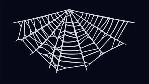 Spider web isolated on black background. Spooky Halloween cobweb. Vector Stock Illustration