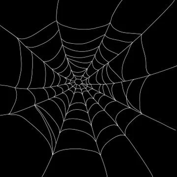 Spider web isolated Illustrazione stock
