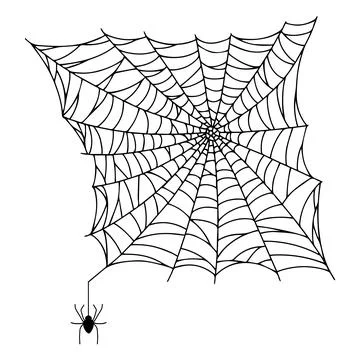 Spider web isolated on white background. Spooky cobwebs with spiders. Stock Illustration