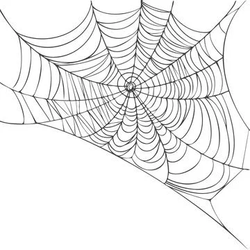 Spider web isolated on white background. Realistic hand Stock Illustration