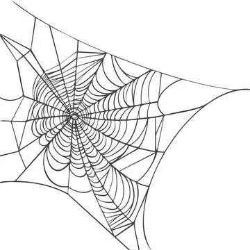 Spider web isolated on white background. Realistic hand Stock Illustration