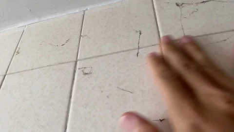 Spider web left on ceramic tile wall inside bathroom close up shot Stock Footage 248942510