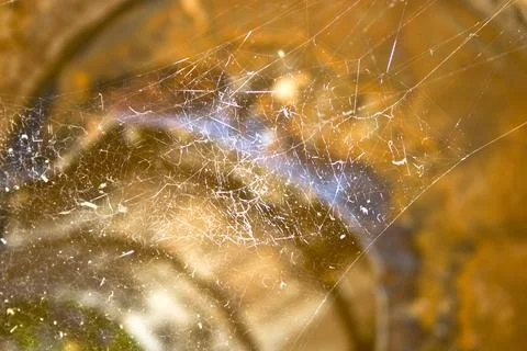 Spider web macro close up, grunge background, nature series Stock Photos