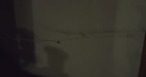 Spider web moving alone in a creepy haunted house on a winter night. Halloween Video stock 110700469