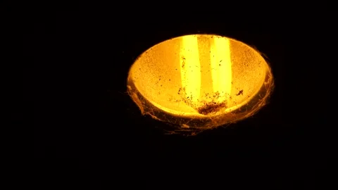 Spider  web is moving with light  bulb, in door  Chiangmai Thailand. Stock Footage 257901616