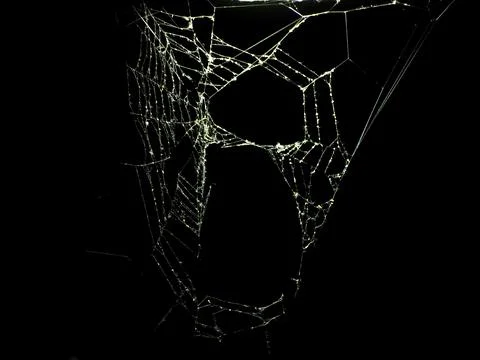 Spider web at night Stock Photos