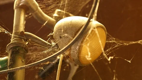Spider web on old bike front light Stock Footage 88918976