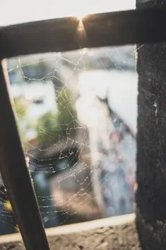 Spider web on Old Town Bridge Tower window with blurred Charles Bridge in bac Stock Photos