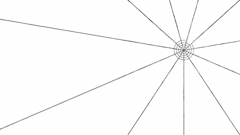 Spider web in one corner of the screen Stock Footage 152783151