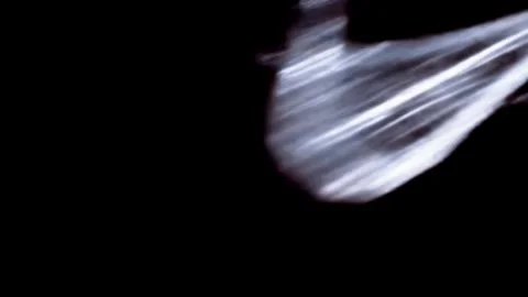 Spider Web Opening Screen with Crawling Spiders on Dark Background Stock Footage 341562703