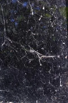 Spider web or abstract texture or background 写真素材