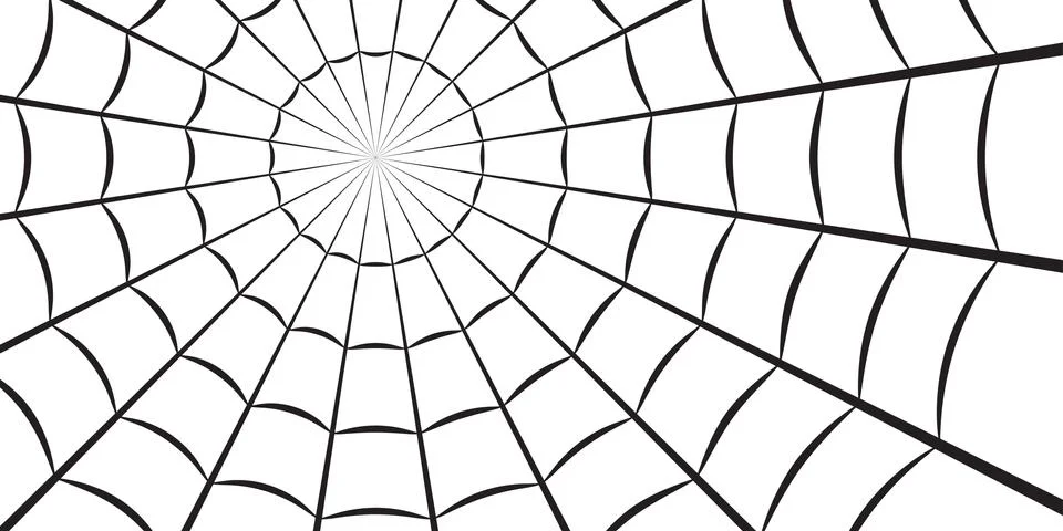 Spider web or cobweb. Halloween net background. Vector illustration. Stock Illustration