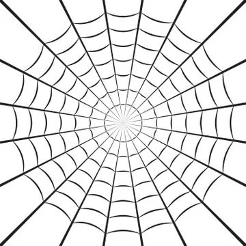 Spider web or cobweb. Halloween net background. Vector illustration. Illustrazione stock